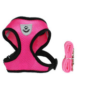 Pet Car Seat Belt Pet Leash