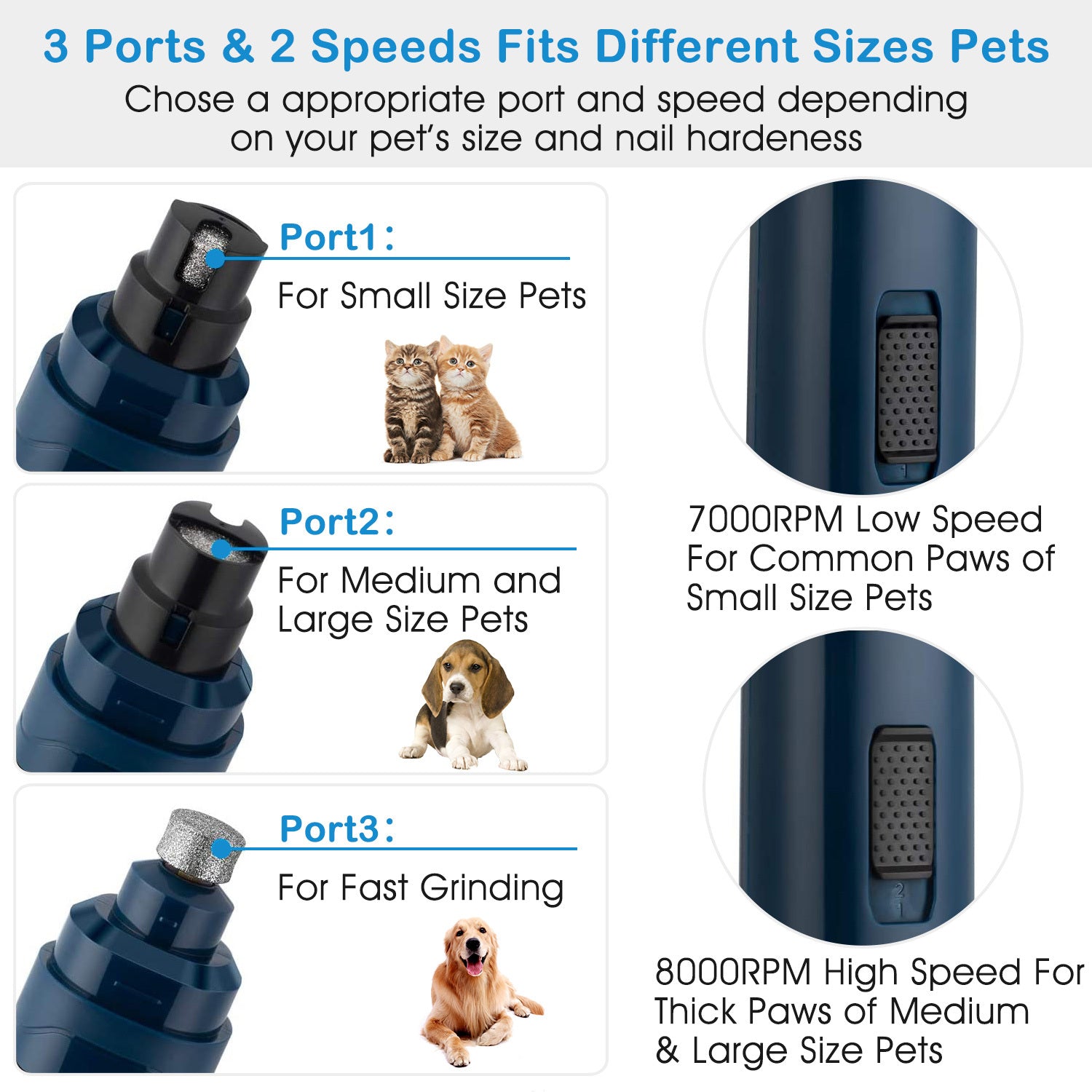 36dbe2ac-e558-4781-83ed-3a336a594d9c.jpg