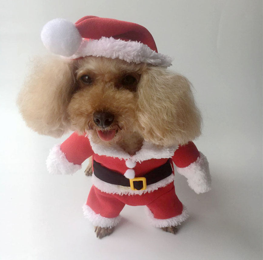 Santa Claus Dog Costume