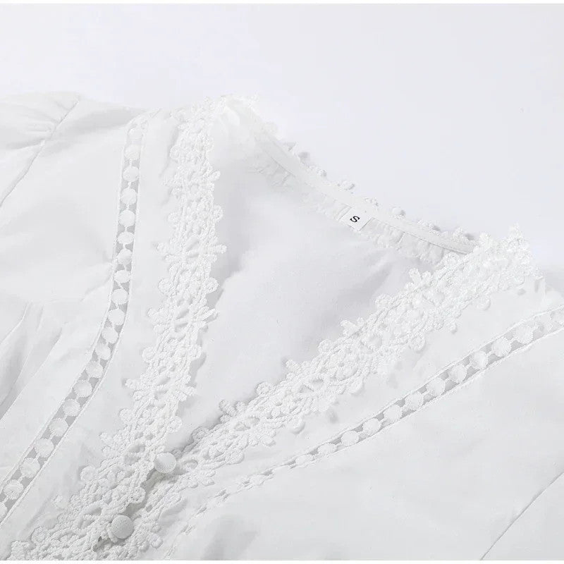 Lace Patchwork Hollow Out Long Lantern Sleeve Dress