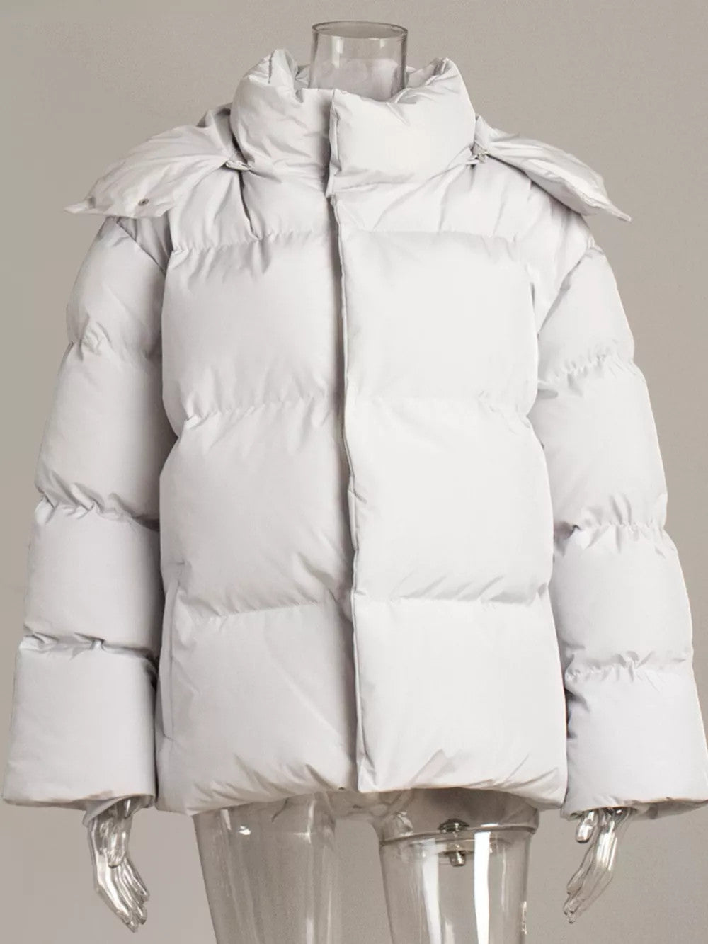 Pocketed Zip Up Hooded Puffer Jacket