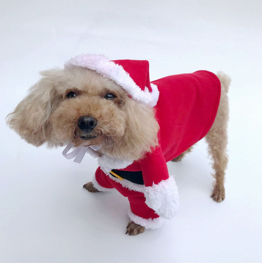 Santa Claus Dog Costume