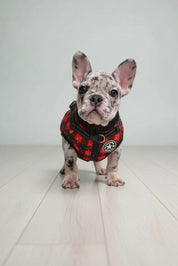 Pet clothing waterproof and warm dog cotton coat winter skiing suit chest and back integrated cotton vest