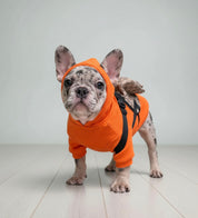 Pet Clothing Clothing Fadou Teddy Schnauzer Undercoat Hat Set