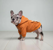 Pet clothes sweaters clothing for dogs teddy cats cool style two legged cotton clothes