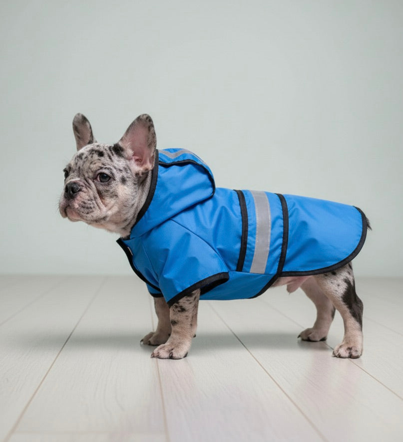Dog Raincoat / Reflective Dog Clothes
