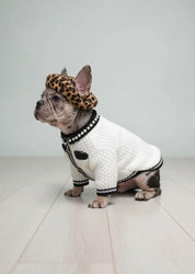 Pet sweater kint fashion cardigan