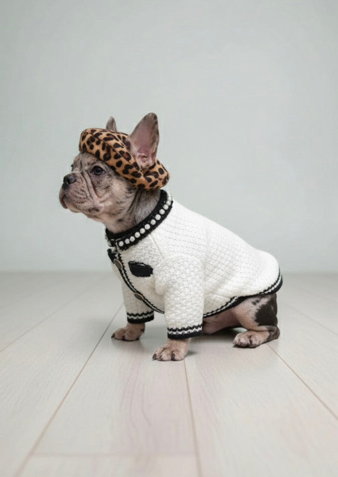 Pet sweater kint fashion cardigan