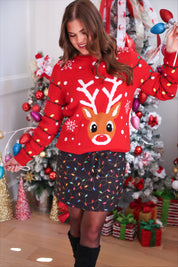 Reindeer Holiday Sweater