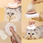 Pet Massage Hair Removal Comb, Pet Hair Remover