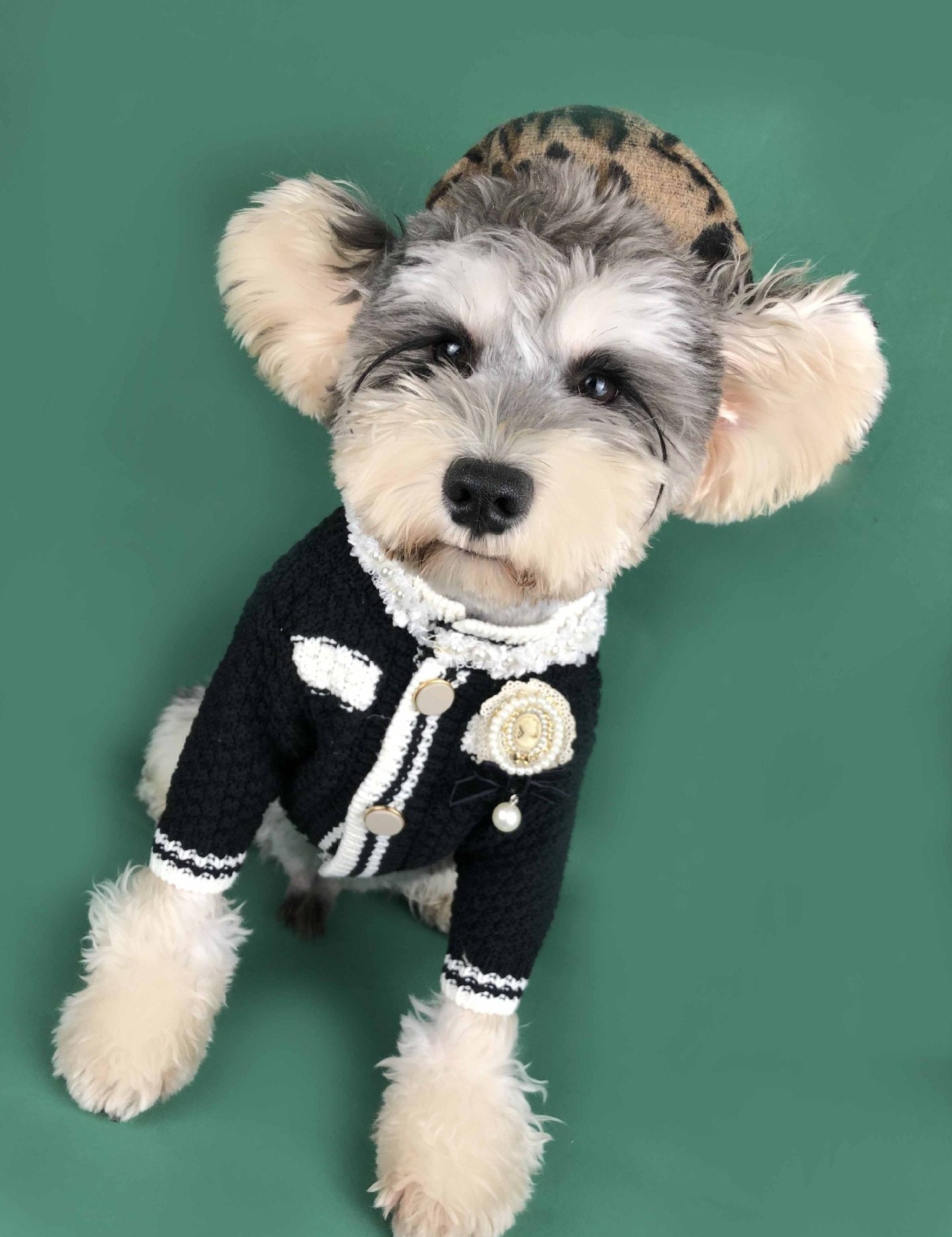 Pet sweater kint fashion cardigan