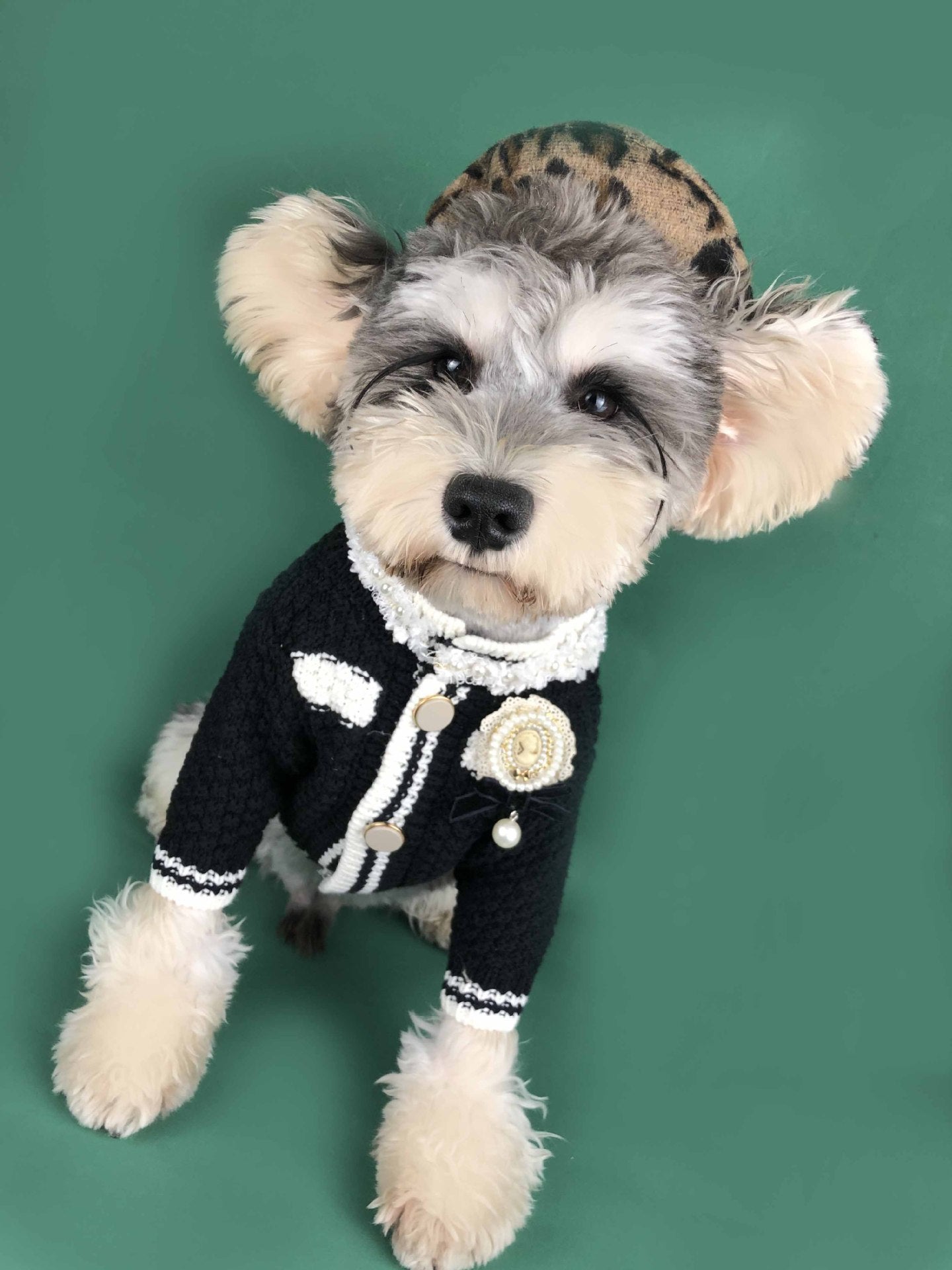 Pet sweater kint fashion cardigan