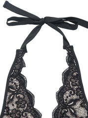 e7770dd4-66de-4bea-b0c2-1210408fe5ce-Max-Origin